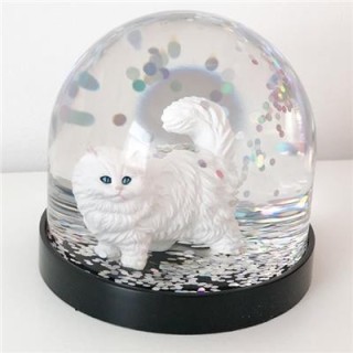 BOULE A NEIGE CHAT