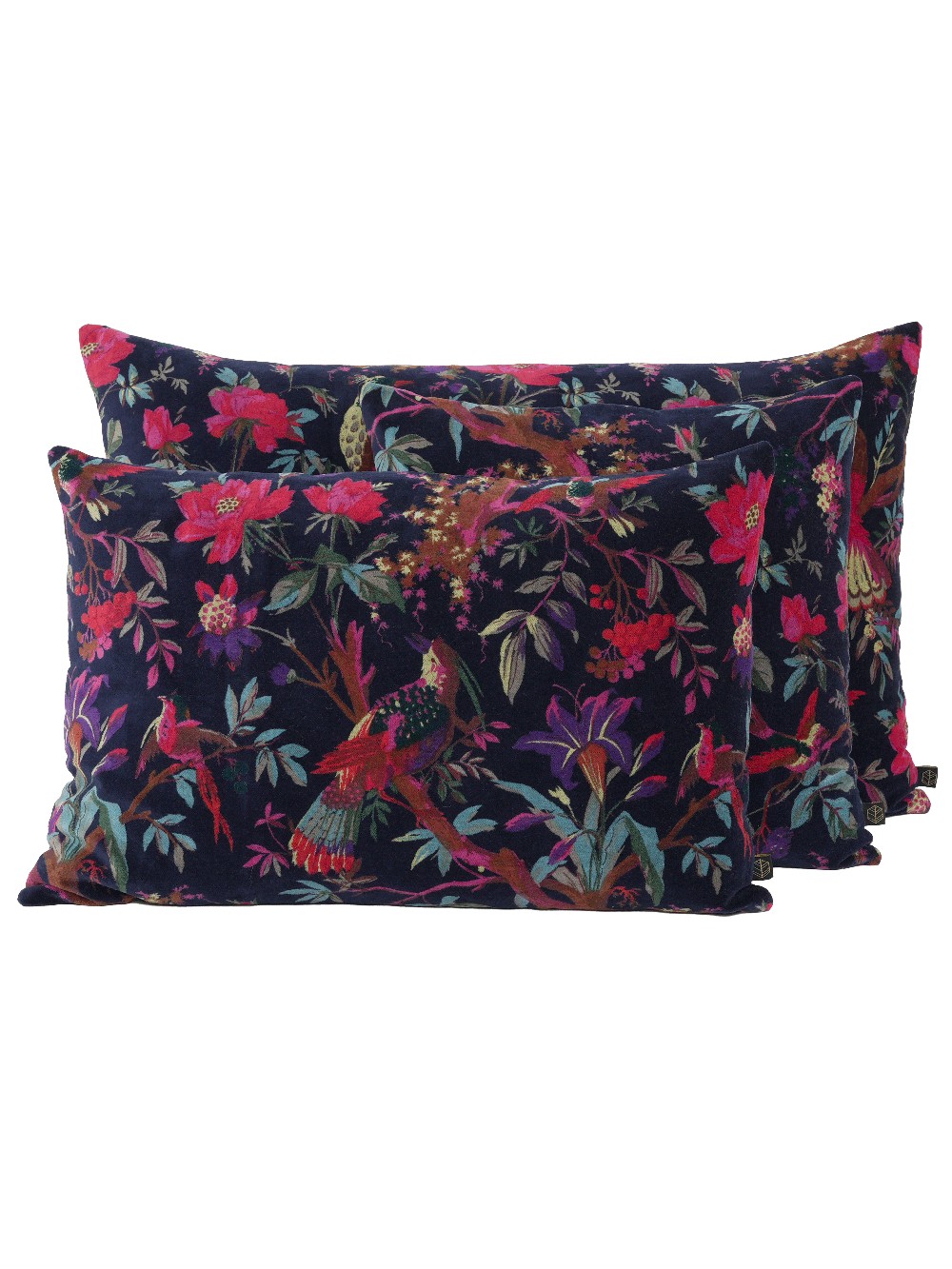 Coussin en velours - Birdy Encre