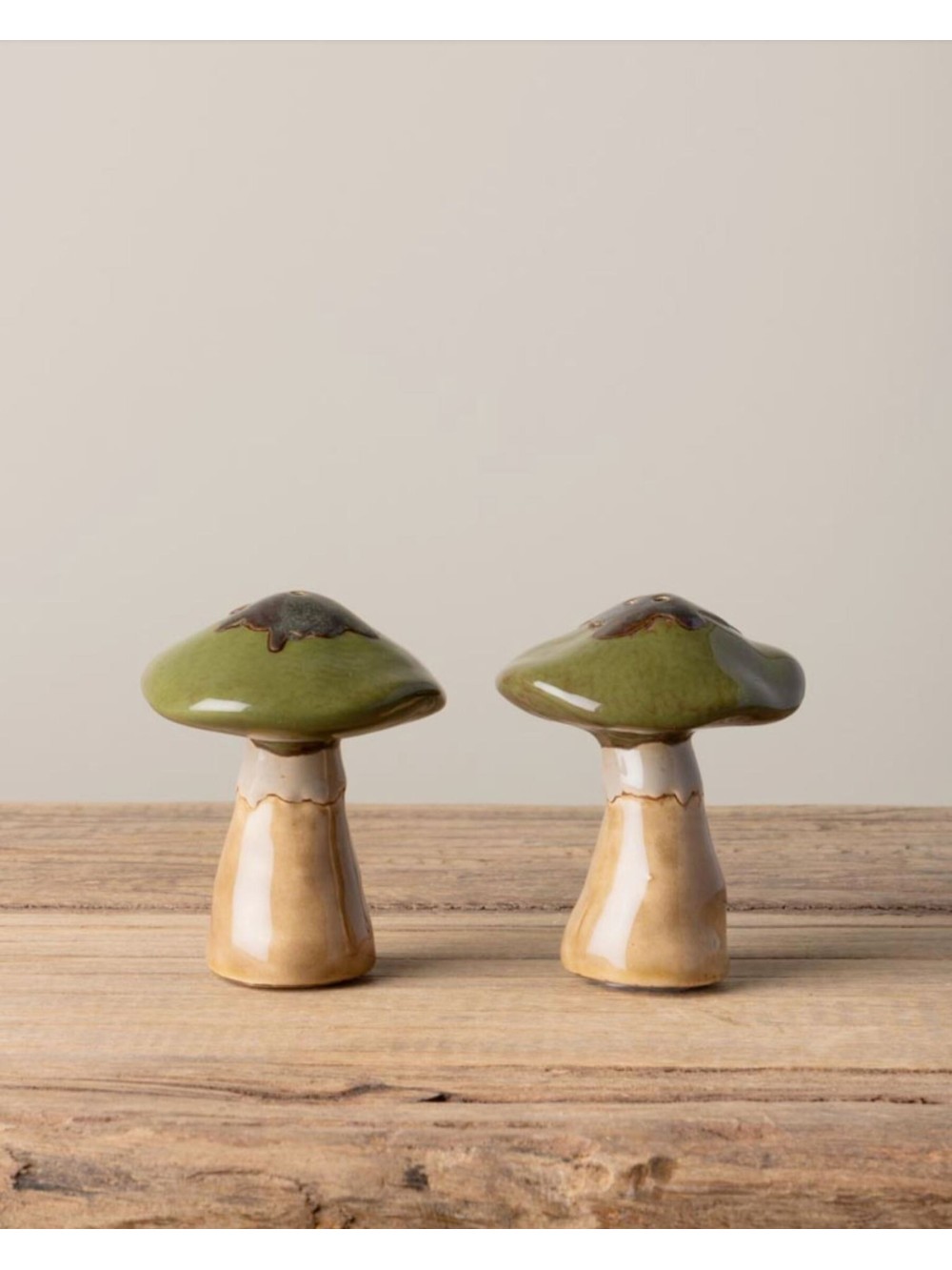 S/2 SEL ET POIVRE CHAMPIGNONS VERTS