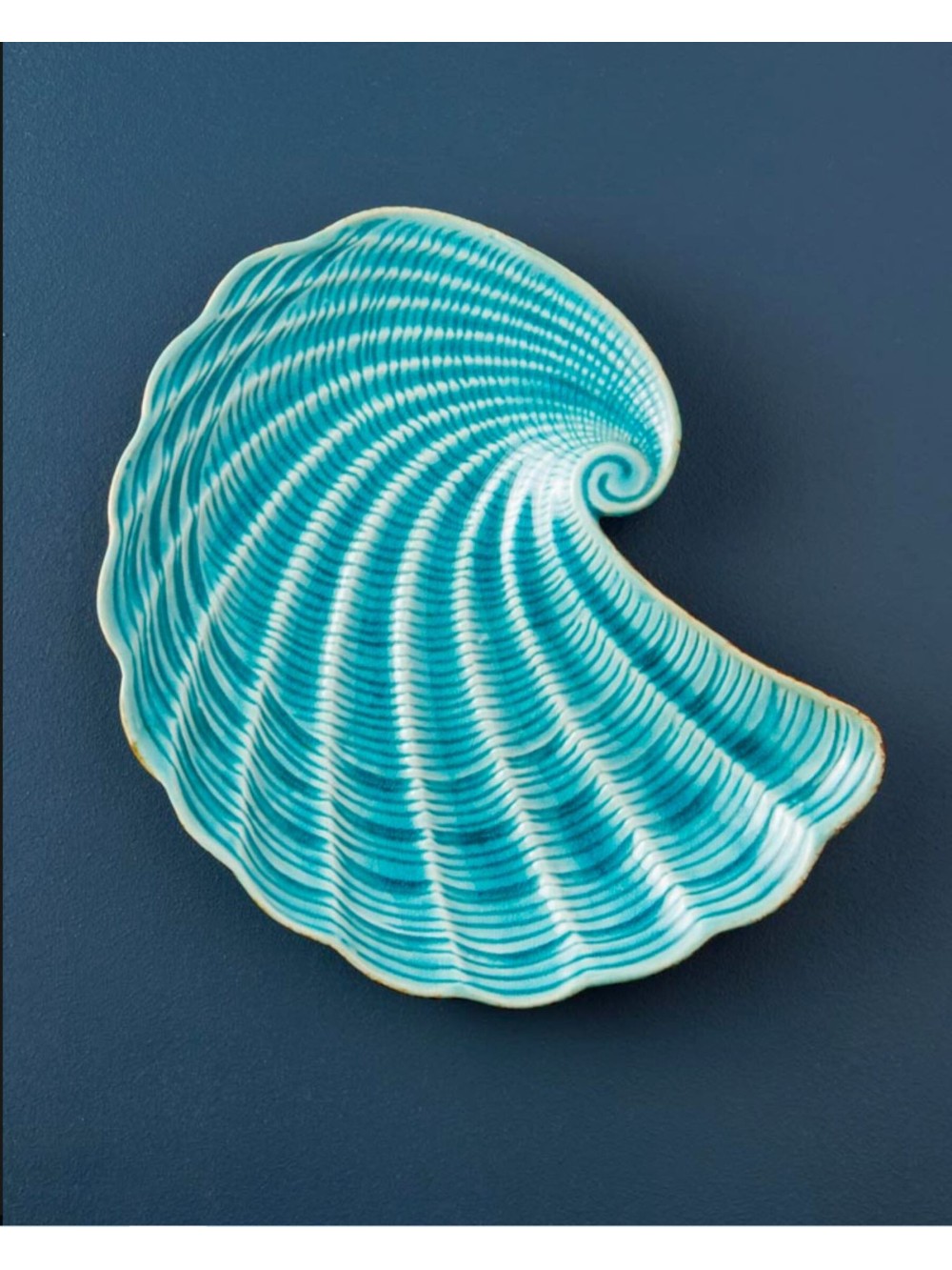 Grande assiette aqua coquillage