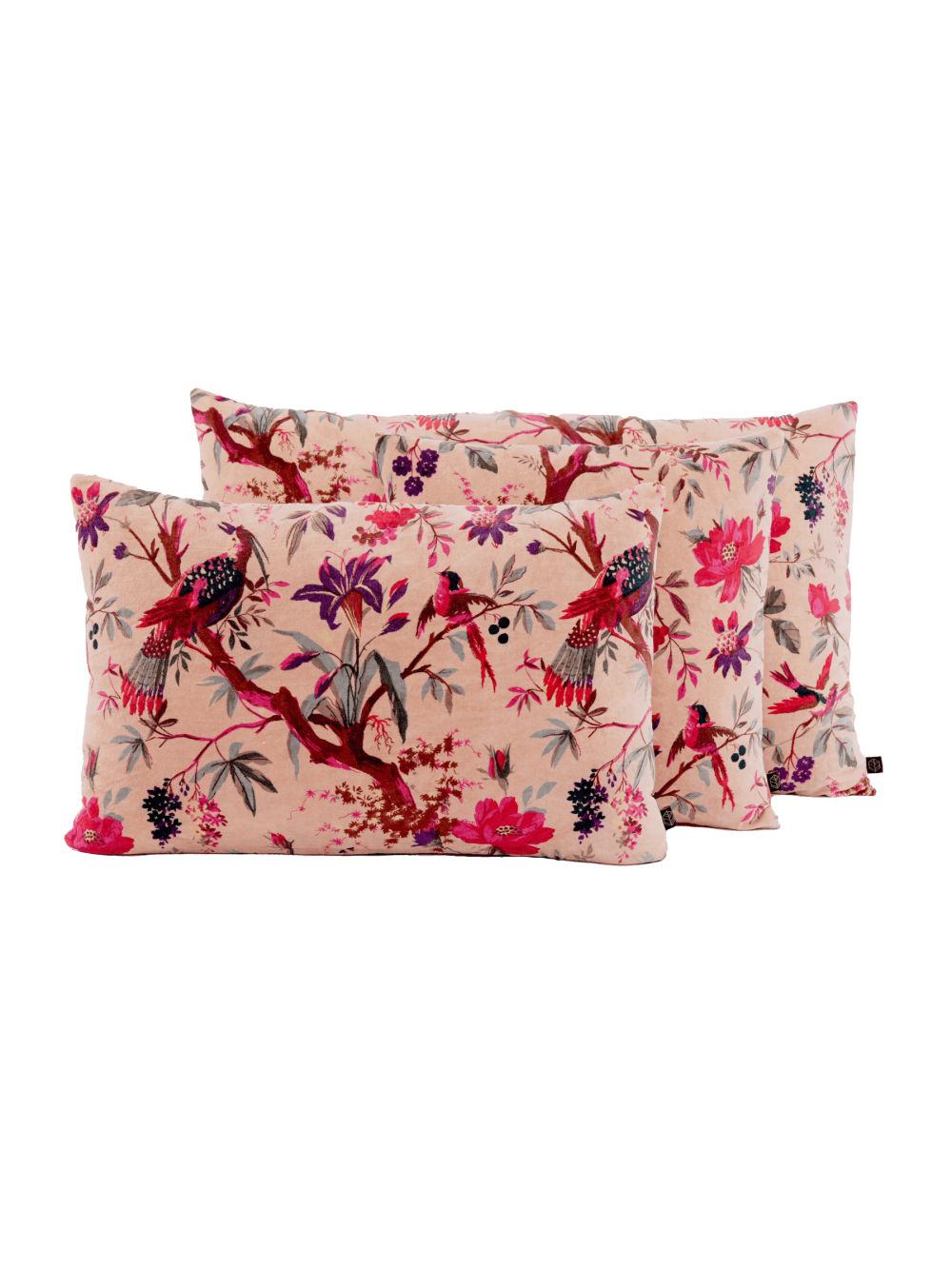Coussin en velours - Birdy Cimarron