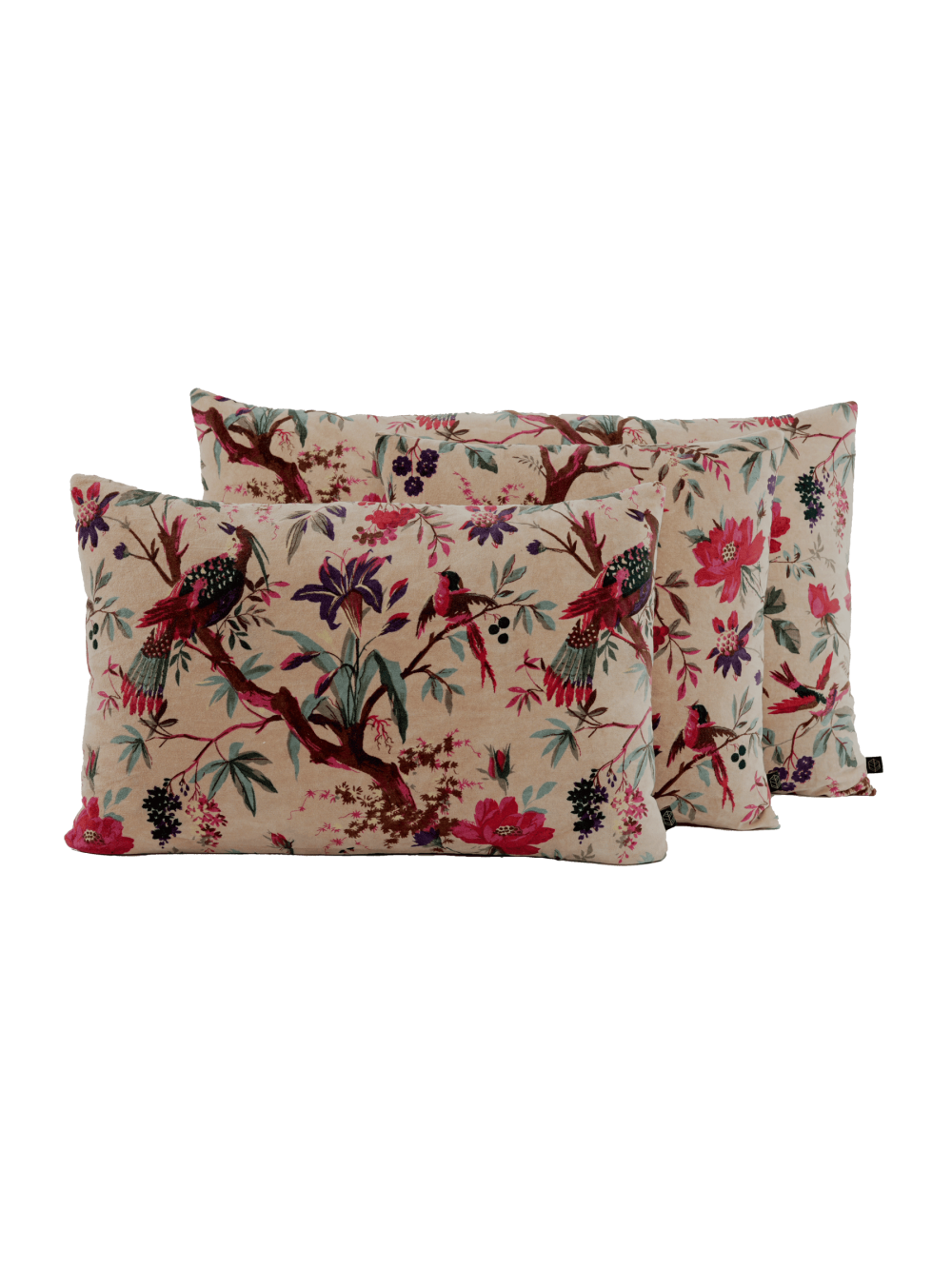 Coussin velours Birdy Lin