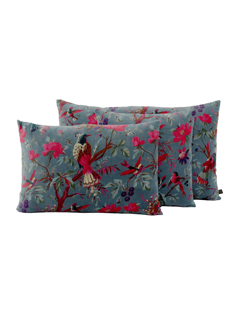 Coussin velours Birdy Turquin