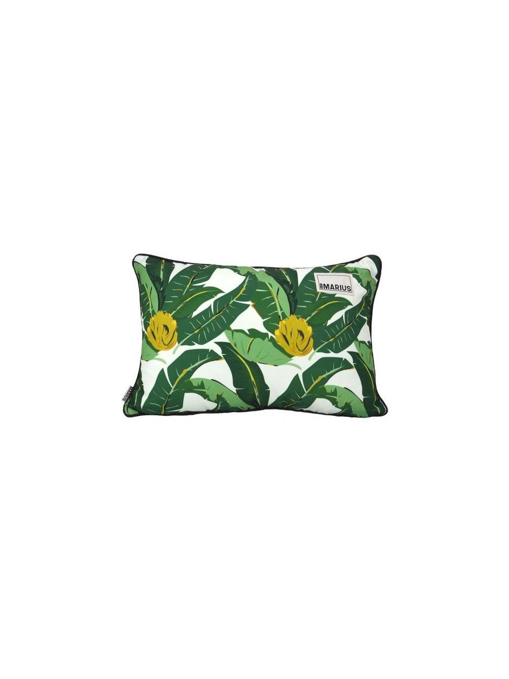 COUSSIN MARIUS ABACA 40X60