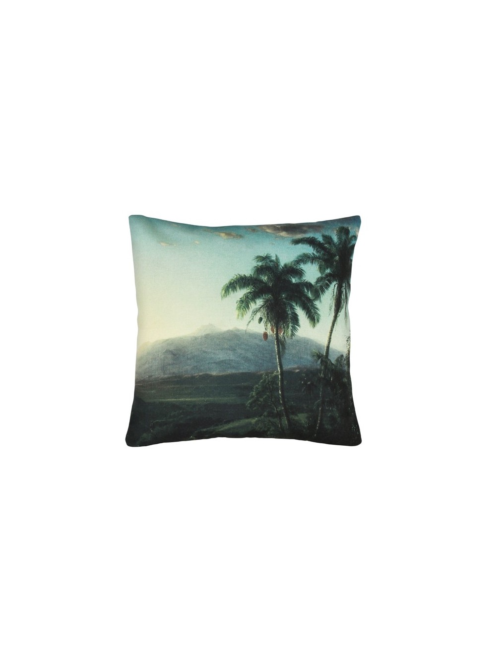 COUSSIN IMPRIME PALM LANSCAPE 45x45