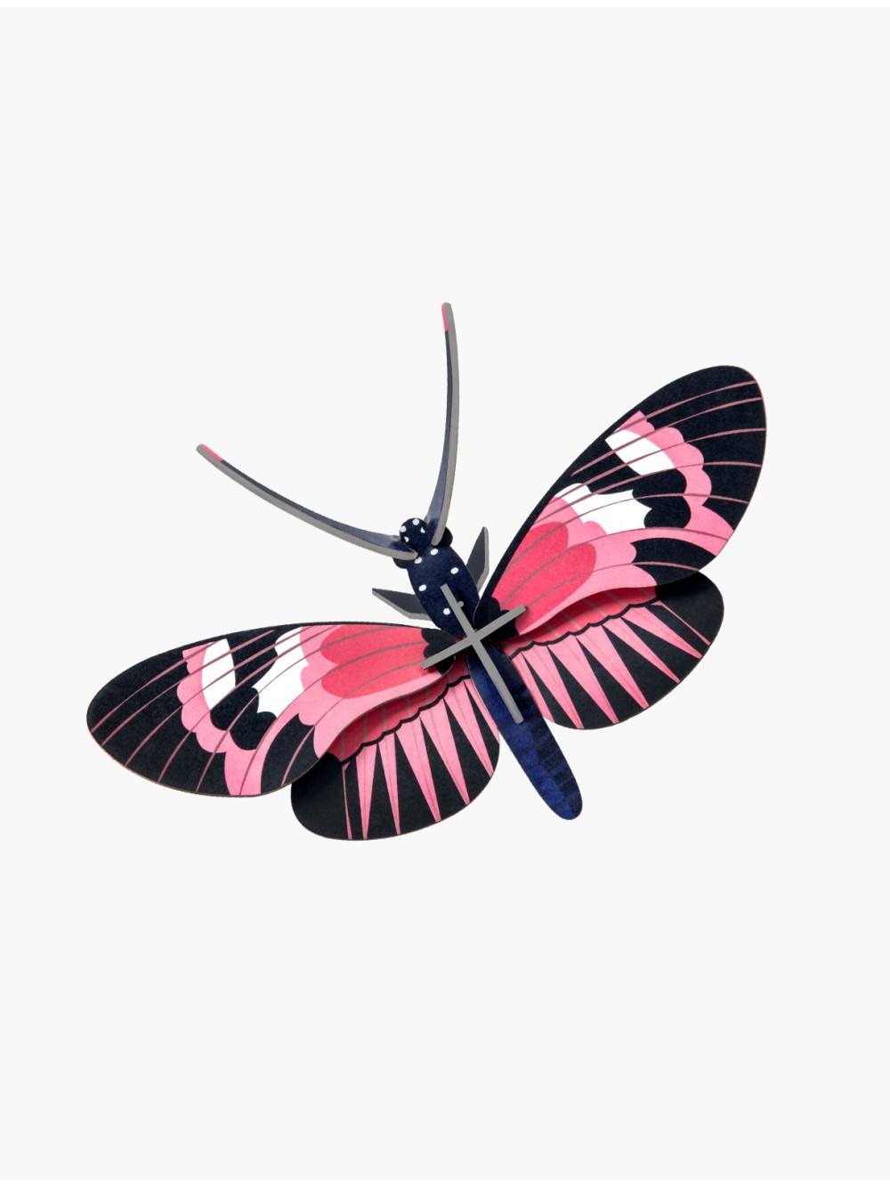PETITS INSECTES PAPILLON LONGWING