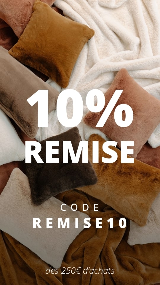 Code de réduction de 10% pour 250€ d'achats